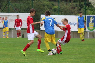 三亿体育体育链接-西悉尼流浪者新援首秀引期待，世俱杯表现备受关注