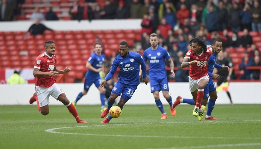 三亿体育体育官方-谢菲联主场不敌赫尔城，实现取胜表现的简单介绍