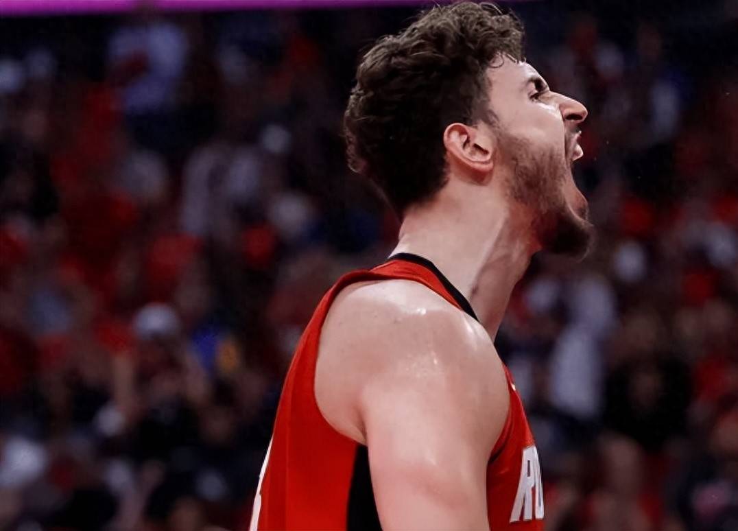 「森林狼反弹战胜黄蜂，双塔组合表现稳固」